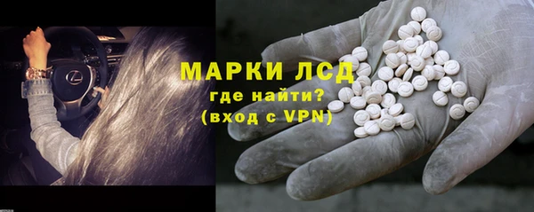 стафф Новодвинск