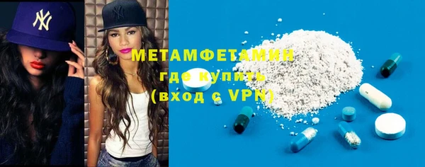 трава Няндома