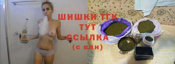 первитин Новозыбков