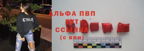 трава Няндома