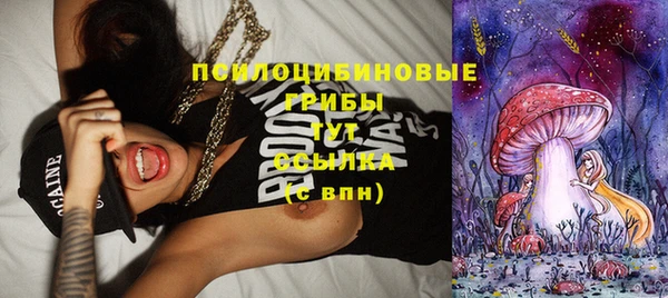 первитин Новозыбков