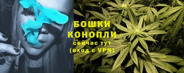 первитин Новозыбков