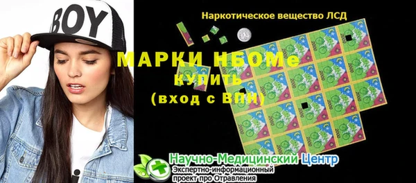 стафф Новодвинск