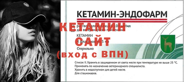 стафф Новодвинск