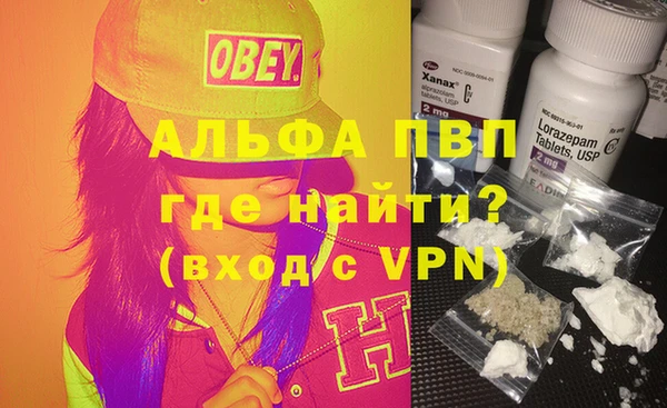 трава Няндома